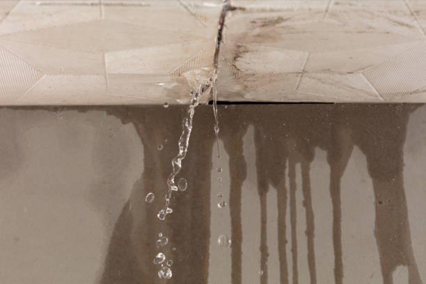 Professional Structural Drying technician working in Hunters, WA